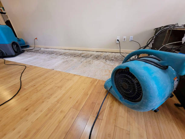 Professional Flood Damage Cleanup technician working in Gordon, WV